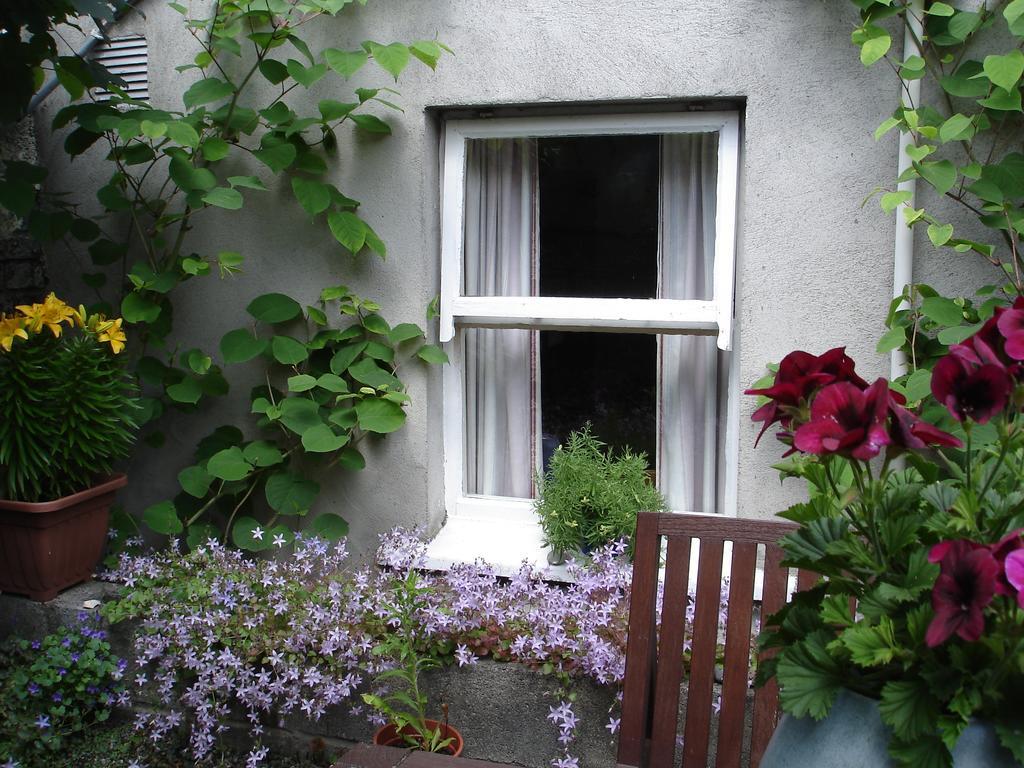 Harrington House Hostel Dublín Exterior foto
